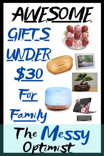 Awesome Gifts Under $30 for Family