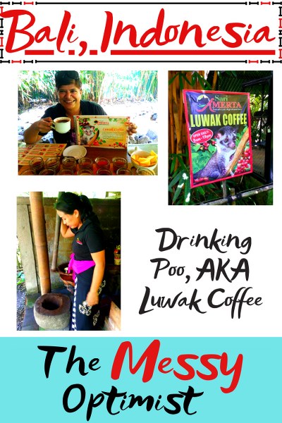 Bali, Indonesia – And the Glories of Drinking Poo, AKA Luwak Coffee