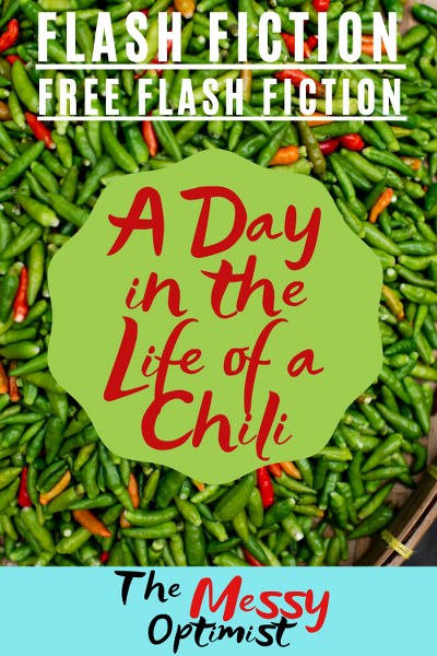 A Day in the Life of a Chili